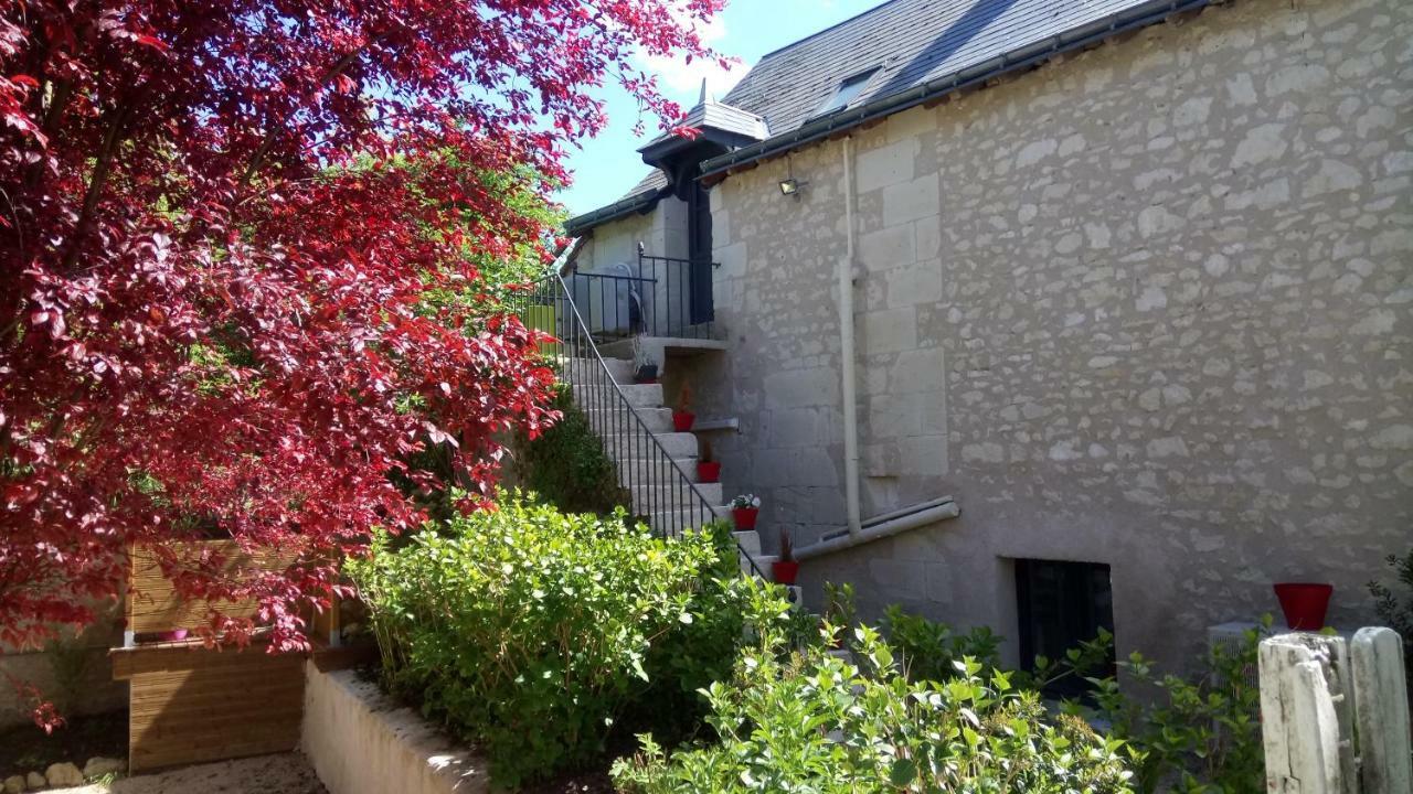 Gites Et Chambres Des Coteaux Sainte-Maure-de-Touraine Exteriör bild